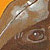 D Rosa chunnt: E b�rnd�tschi Fr�eligs- u Oschtergschicht mit Lieder von Sabine D�nzer-Burri